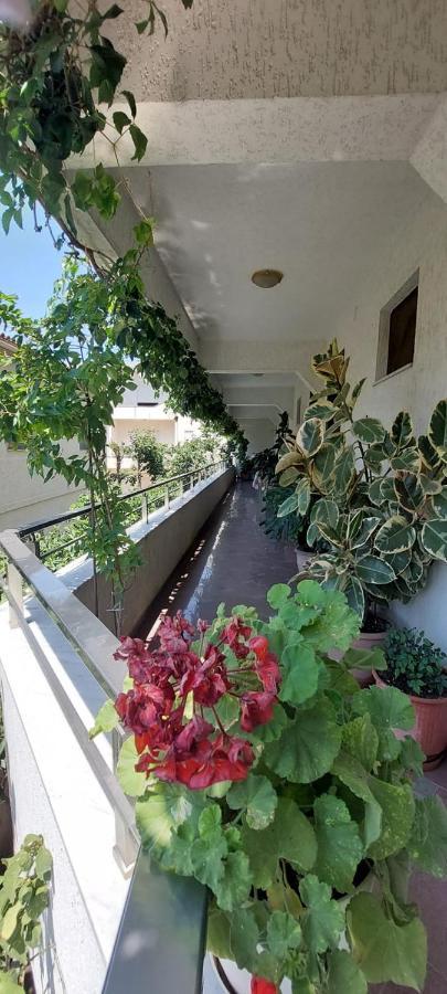 Villa Madani Durrës 外观 照片